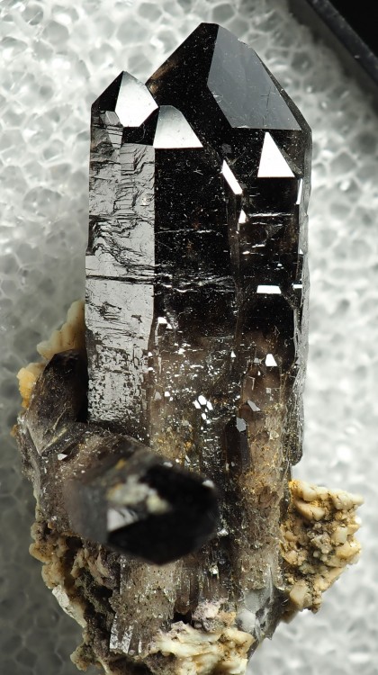 Quartz-du-hornfels-MSH.jpg