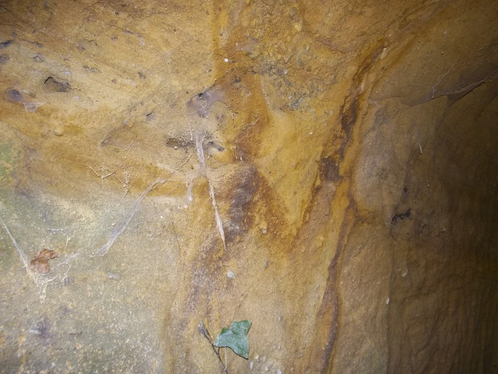 100_0760.JPG
