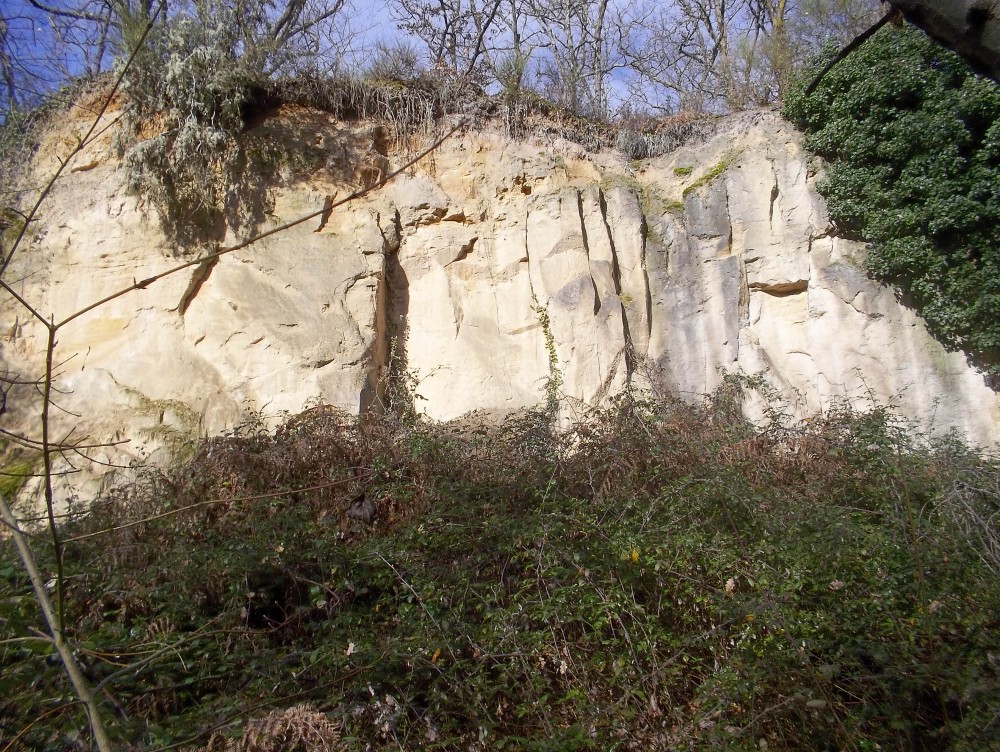 100_0773.JPG