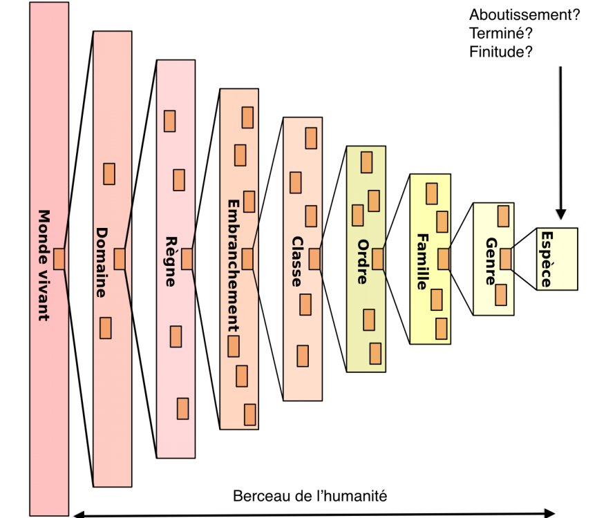 1200px-Taxonomic_hierarchy.svg.png