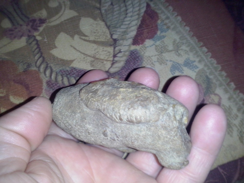 CAM03902.jpg