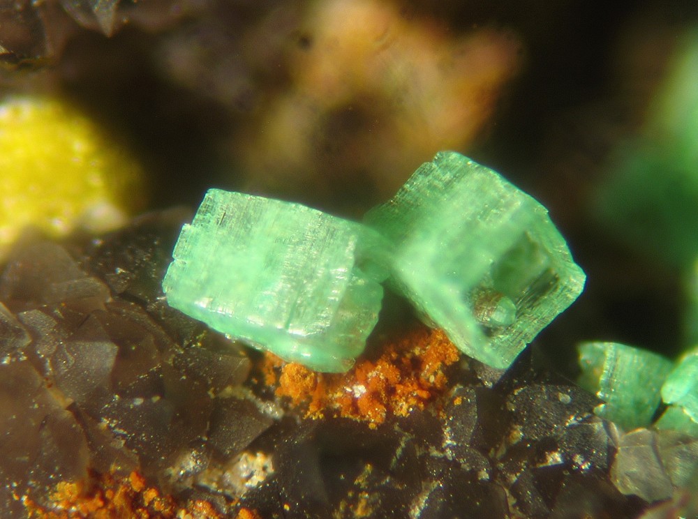 Torbernite QPMI 634 -4 ( fov 2 mm ).jpg