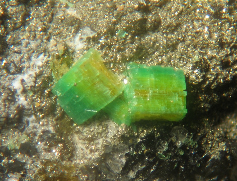 Torbernite QPMI 651 -1 ( + Pyrite )( fov 3 mm ).jpg