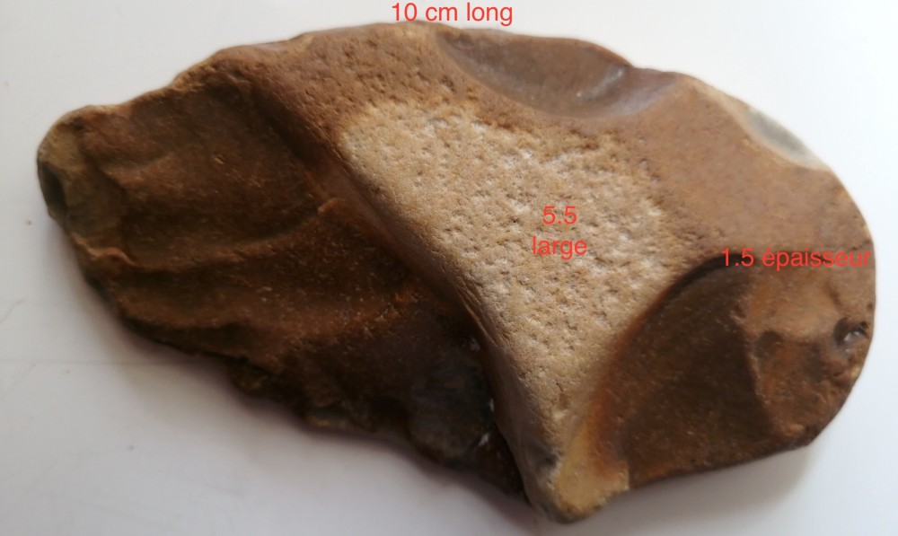 1951000995_silexaplat.thumb.jpg.10e3adb8522b638867afe1086d5abffa.jpg