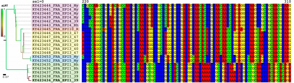 BatCoV_WestEurop_fig_S2l.jpg