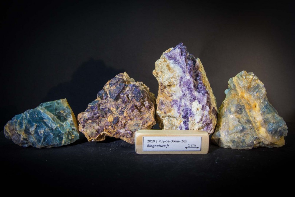 fluorite_blognature_2019_120.jpg