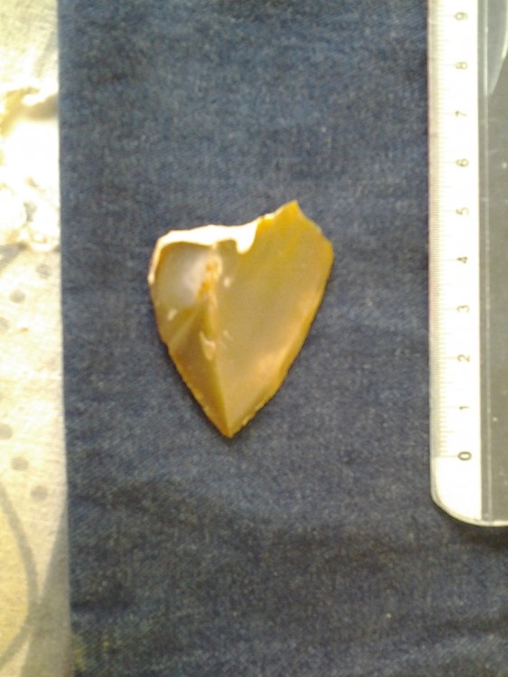 20200530_080155.jpg