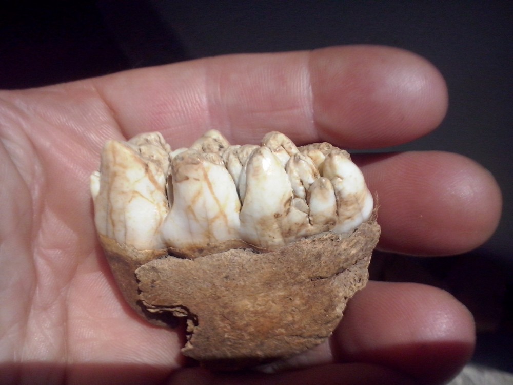 CAM04172.jpg