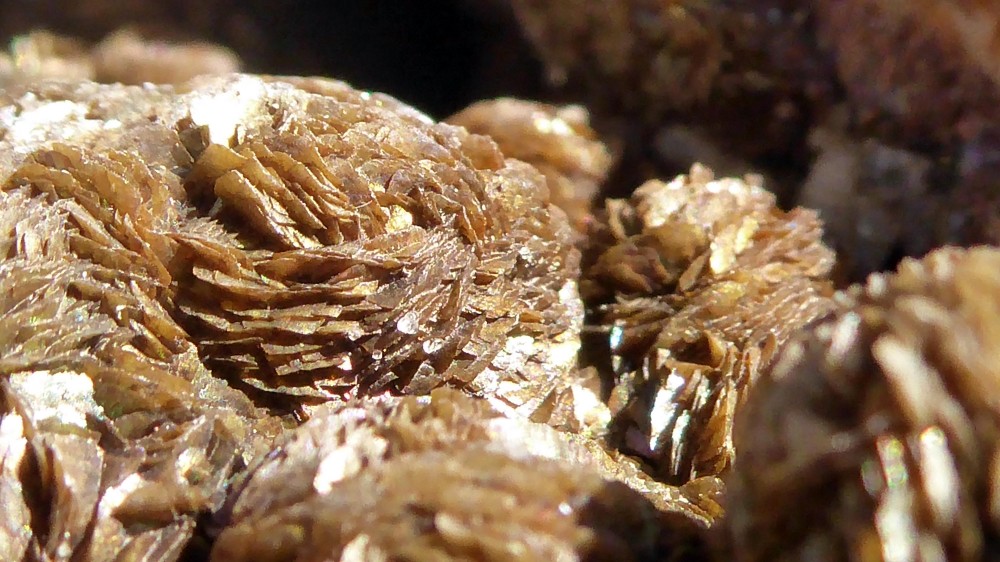 p3.thumb.jpg.79a9bdc82d03b4978c8c2d9f5b63f50a.jpg