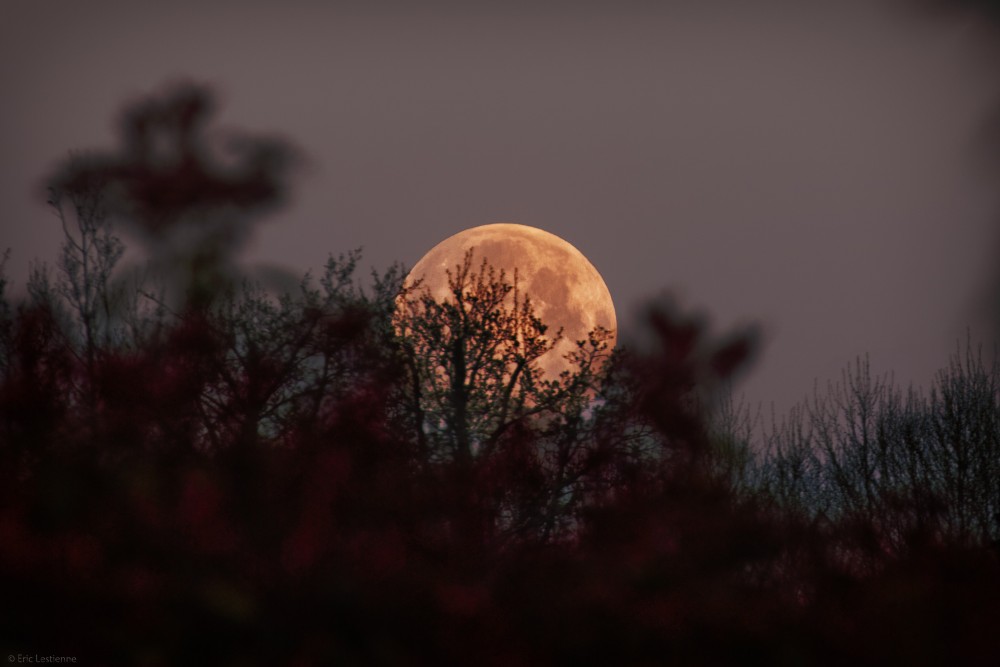 Super lune 8 avril 2020_A7_1428_DxO.jpg