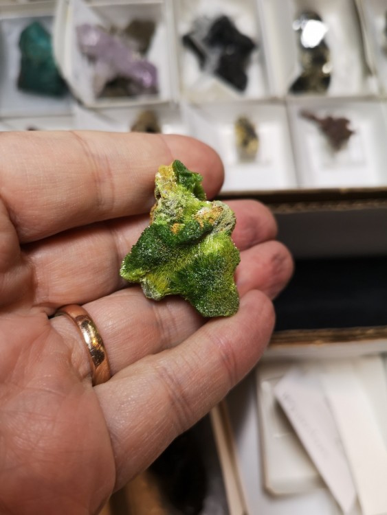 Huelgoet pyromorphite, Canyon Colours specimen.jpg