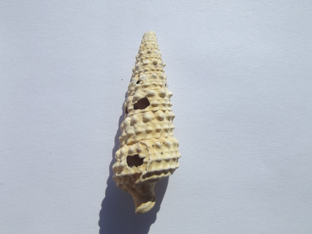 DSCF7672.JPG