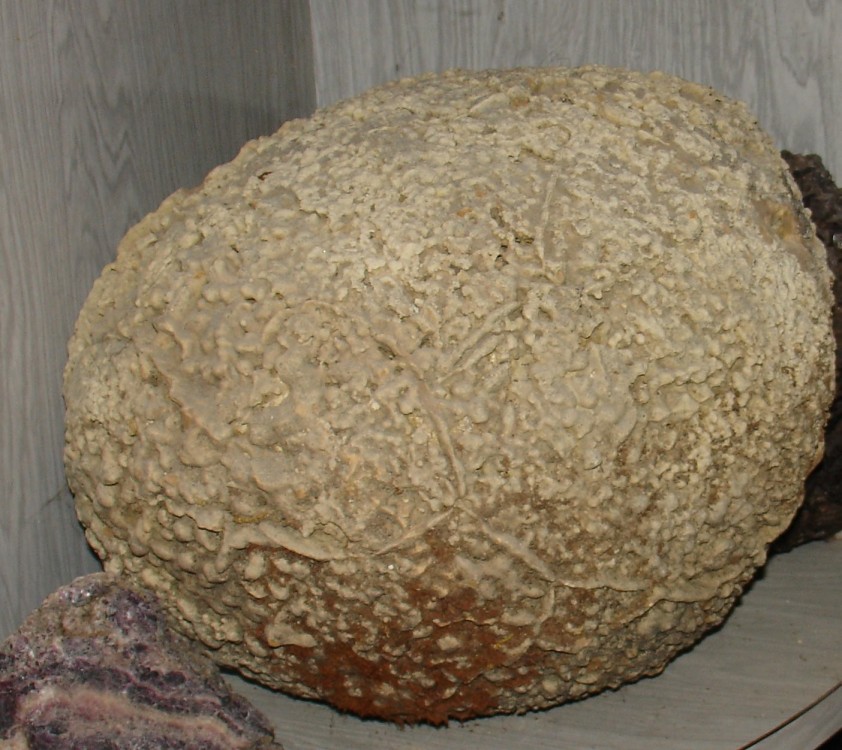 stromatolithe1.jpg