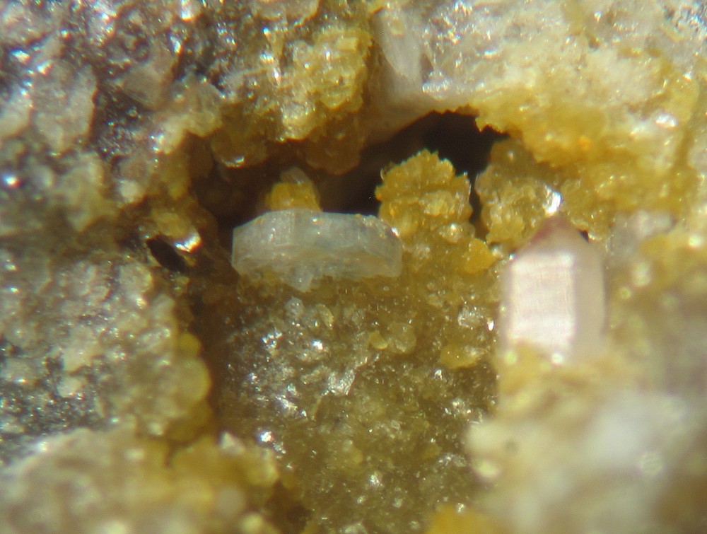 Apatite-(CaF) QPMI 2669 -2.jpg