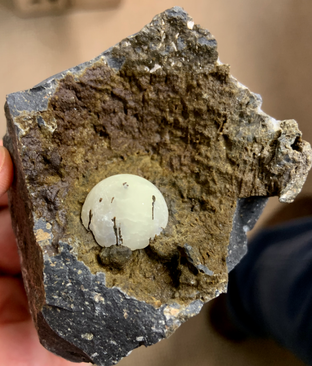 Capture d’écran 2020-08-16 à 23.30.31.png