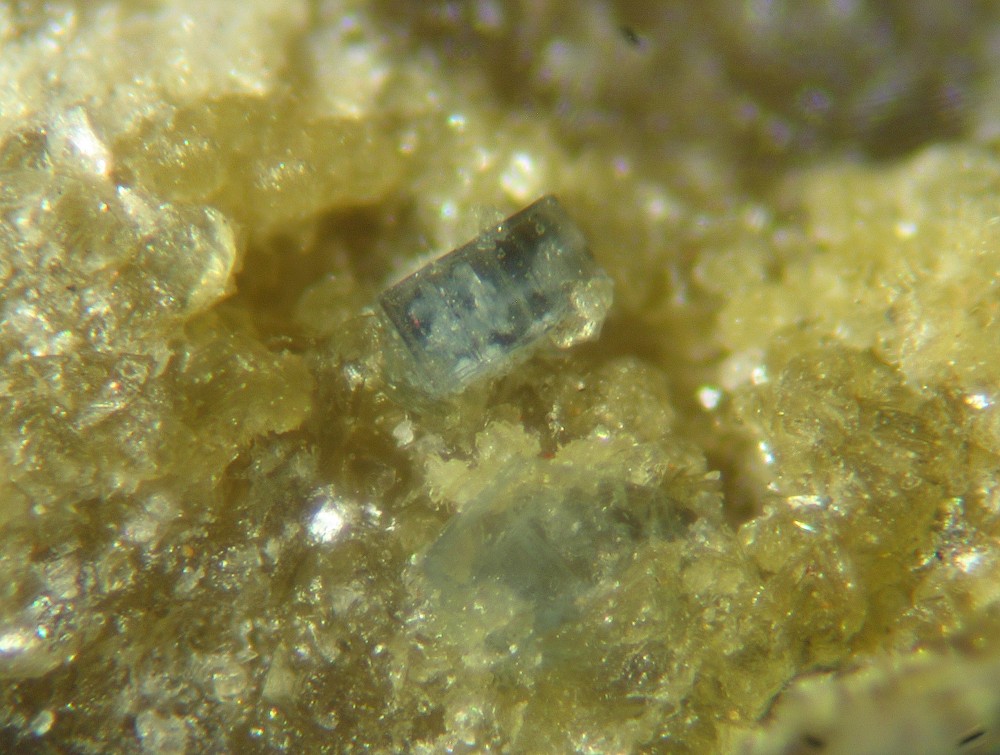 Apatite-(CaF) QPMI 7328 -1.jpg