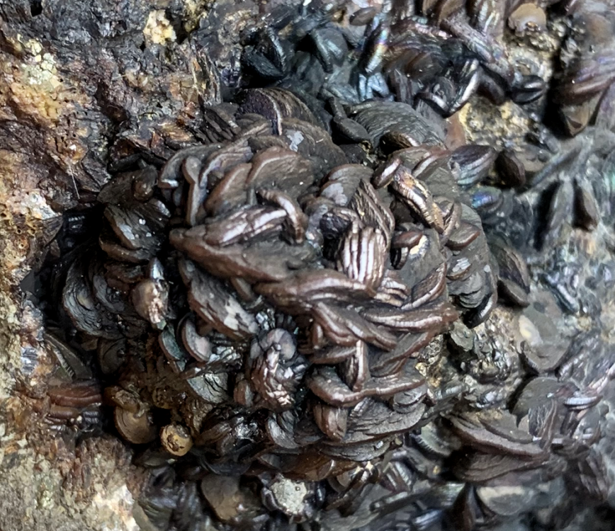 Capture d’écran 2020-08-24 à 13.23.08.png