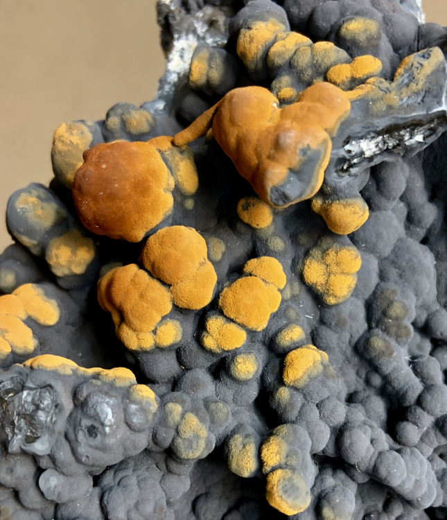 Capture d’écran 2020-08-24 à 13.20.17.png