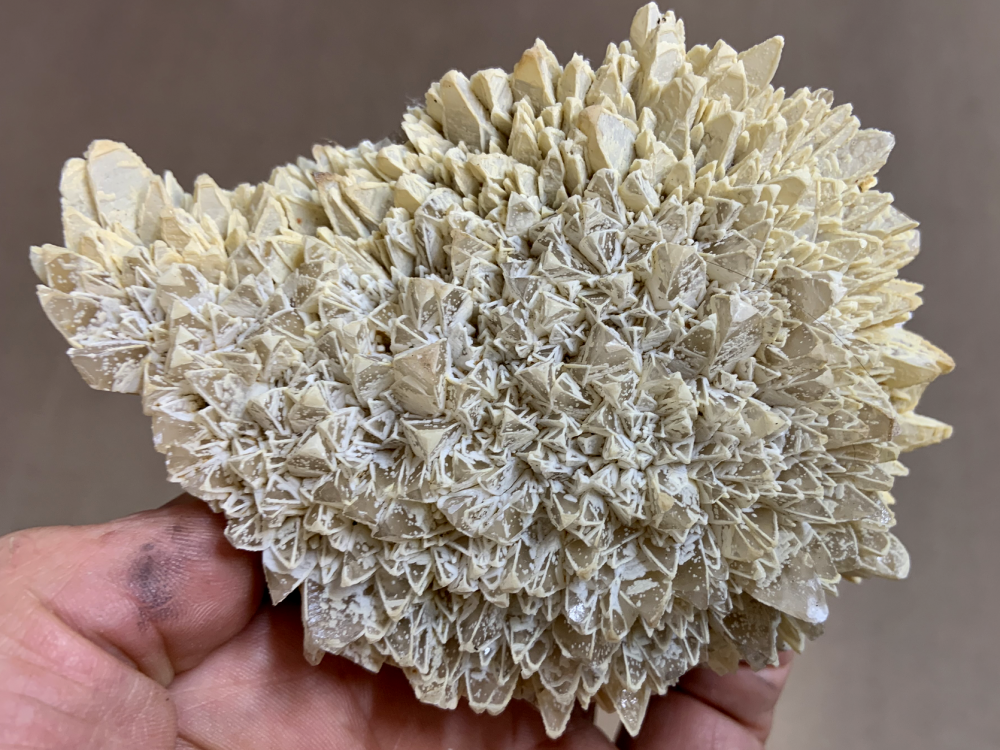 Capture d’écran 2020-08-24 à 13.20.47.png