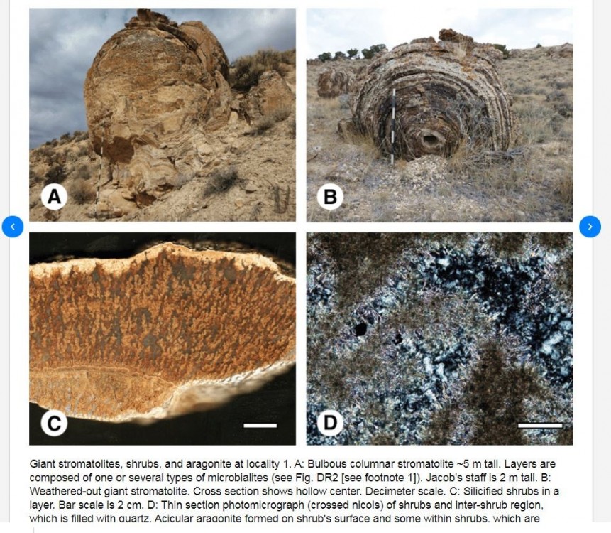 75871381_Capturestromatolite3.thumb.JPG.1cd4e2afb7b914744351274ad0e849f3.JPG