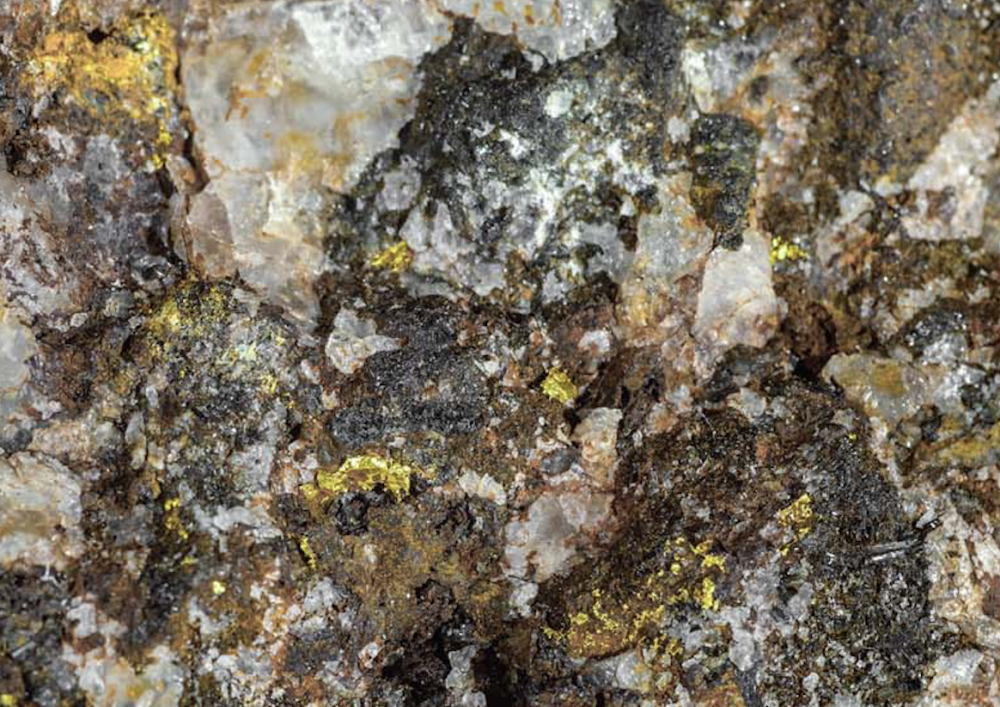 Capture d’écran 2020-09-05 à 23.54.58.png