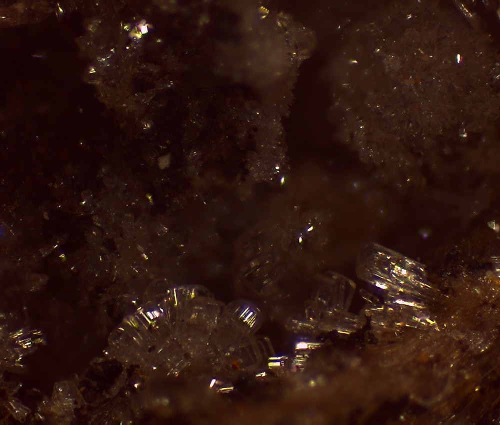 Lacorre 29x23 s14.jpg