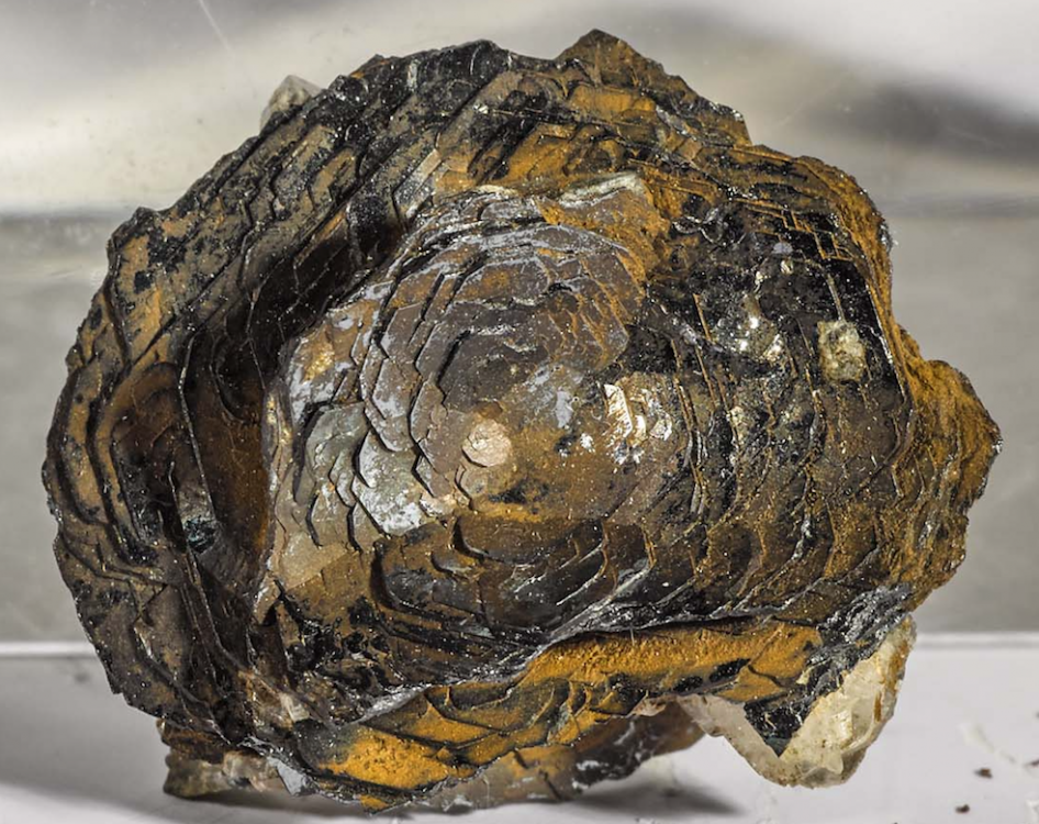 Capture d’écran 2020-09-05 à 23.55.46.png