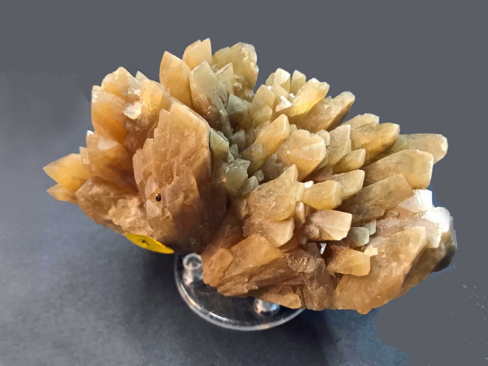 1c1-mineral.jpg