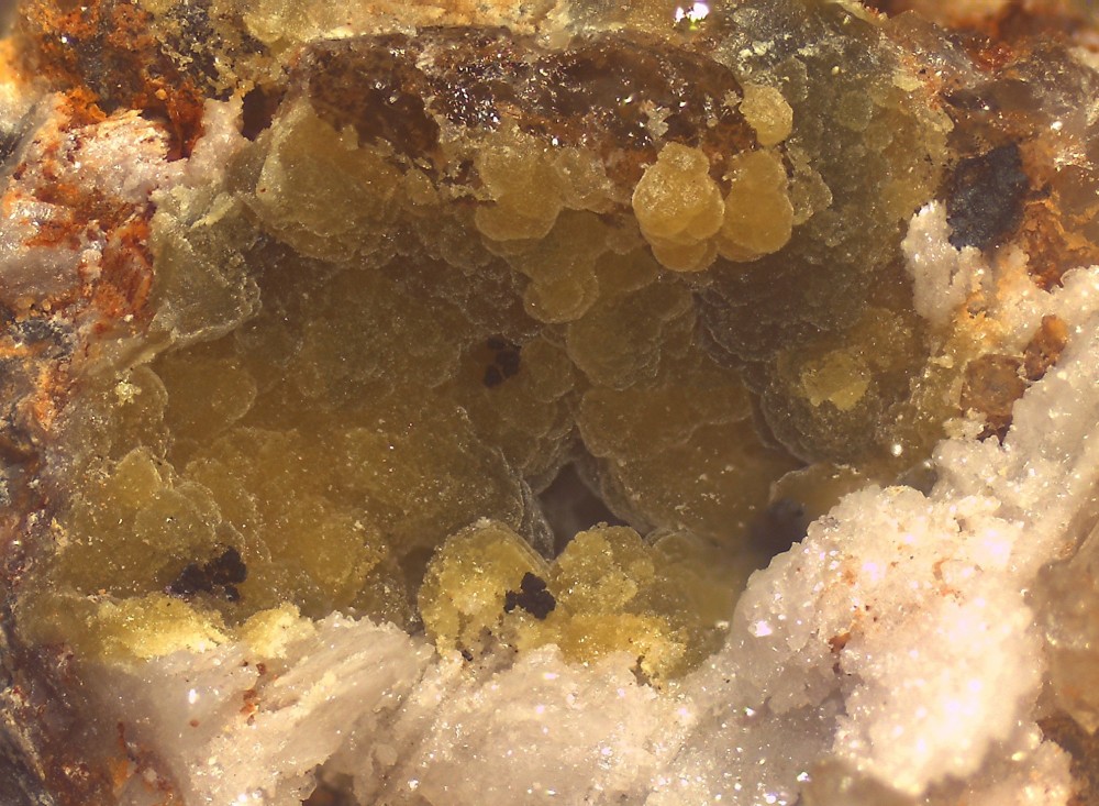 Lacorre 69x51 s32.jpg