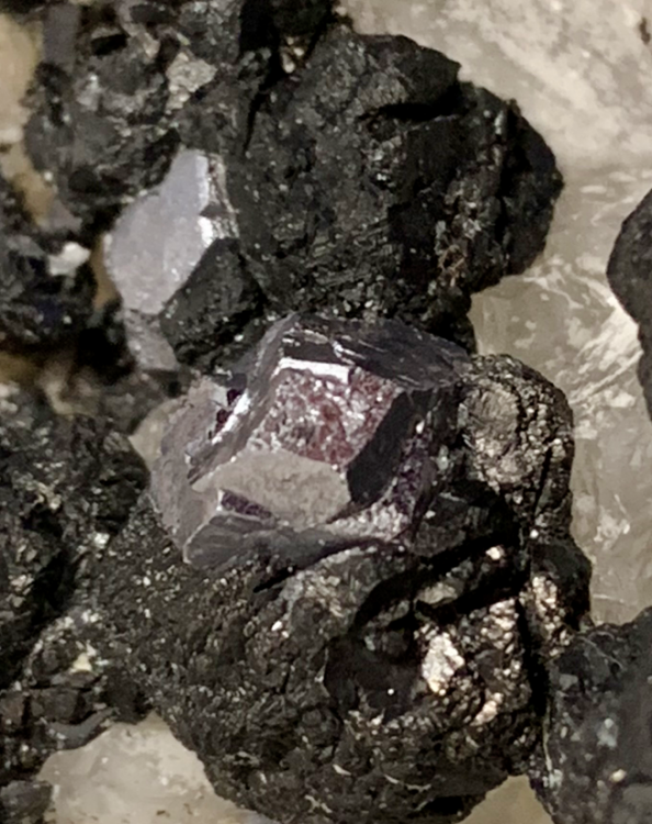 Capture d’écran 2020-08-16 à 23.00.59.png