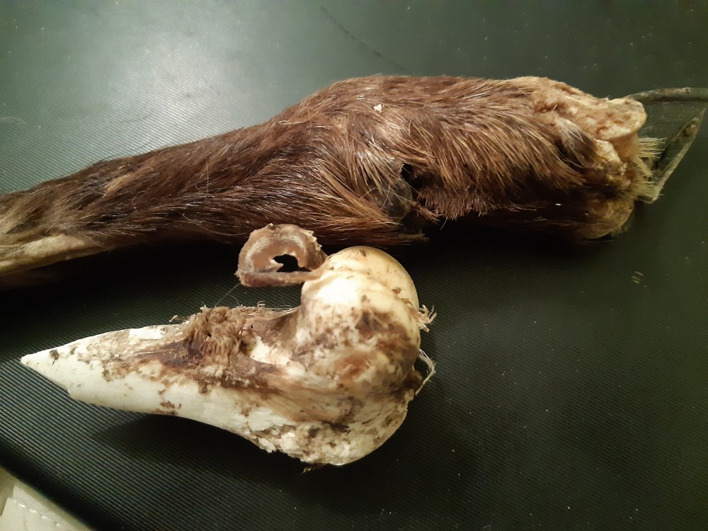 20201030_175126 (2).jpg