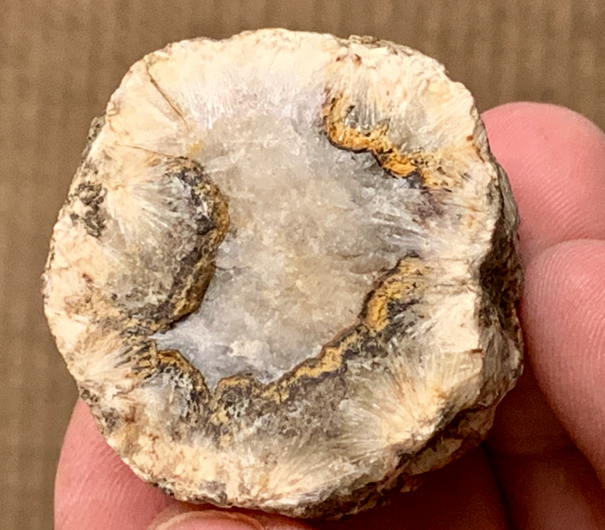 Capture d’écran 2020-10-20 à 23.04.18.png