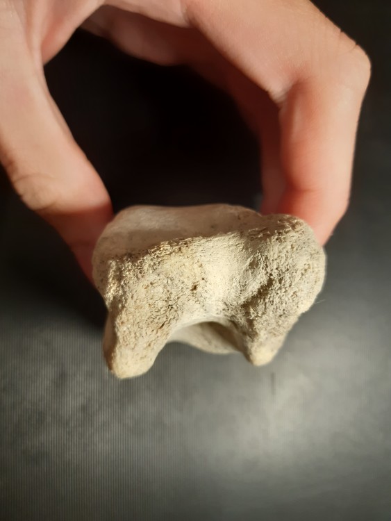 20201029_192603 (3).jpg