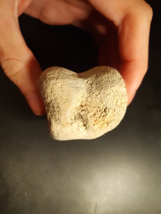 20201029_192612 (3).jpg