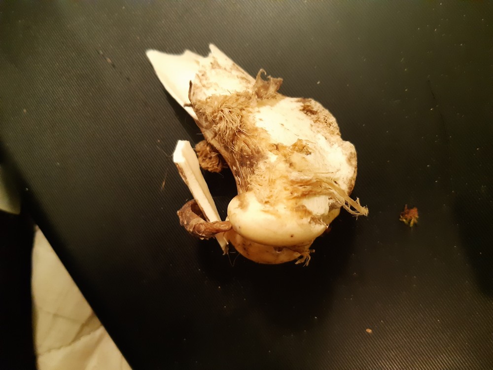 20201030_175052 (1).jpg