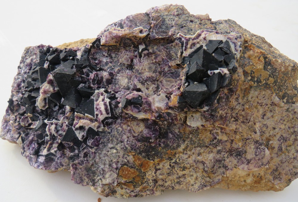 IMG_0090 3kgs600.JPG