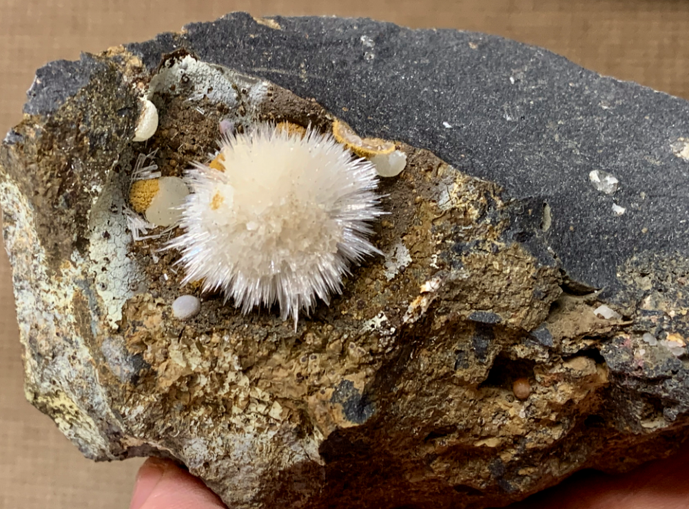 Capture d’écran 2020-10-22 à 23.22.09.png