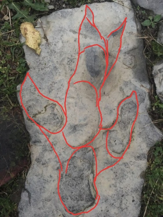 IMG-20191030-WA0003 - Copie.jpg