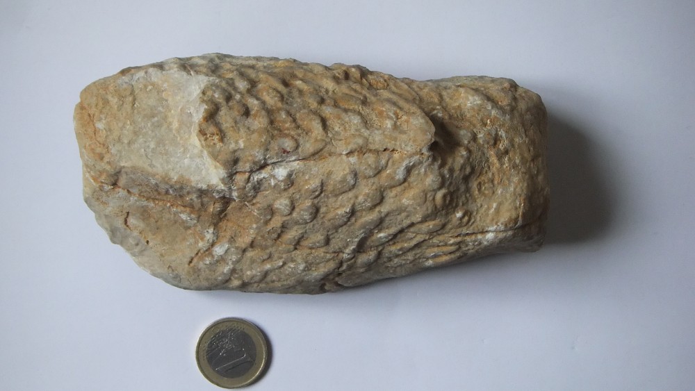 pierre saint Martin (2).JPG