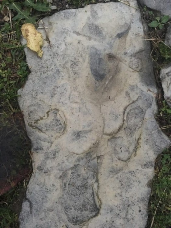 IMG-20191030-WA0002 - Copie.jpg