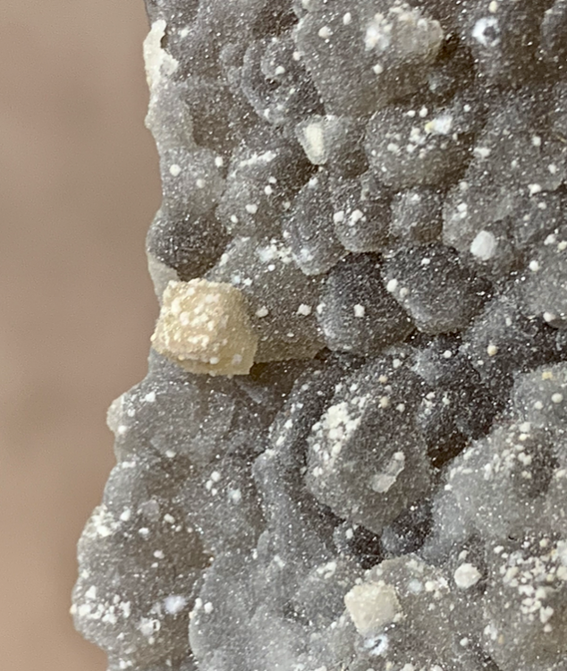 Capture d’écran 2020-10-18 à 22.03.13.png