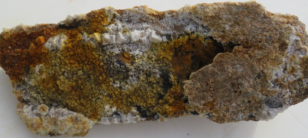 IMG_0078 8kgs100.JPG