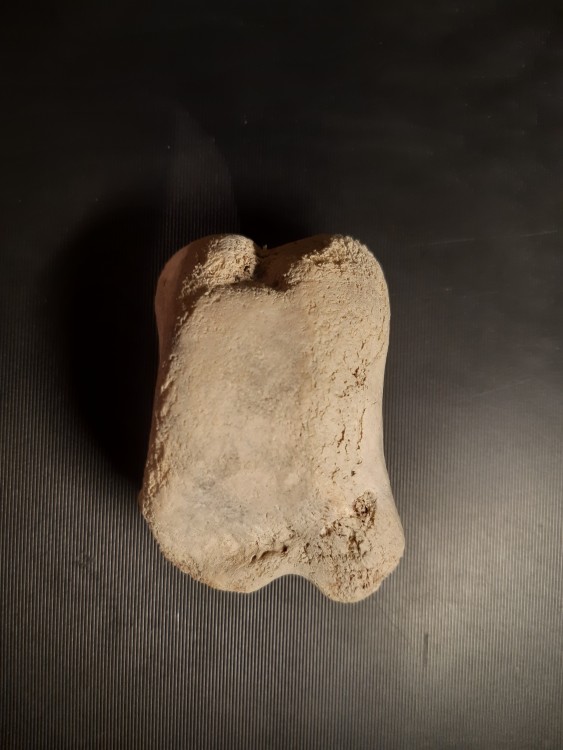 20201029_192554 (3).jpg