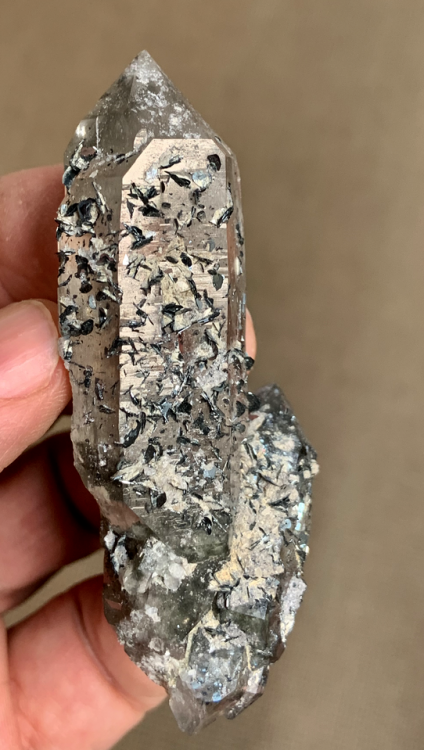 Capture d’écran 2020-11-06 à 00.12.01.png