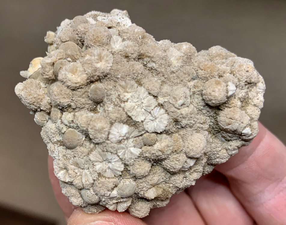 Capture d’écran 2020-11-19 à 00.04.19.png