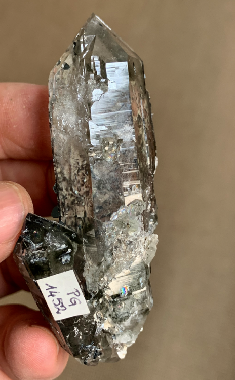 Capture d’écran 2020-11-06 à 00.11.32.png