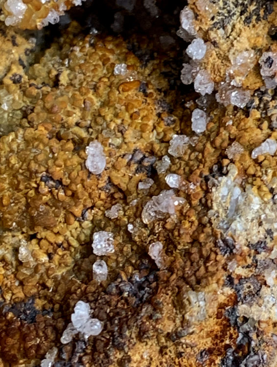 Capture d’écran 2020-08-24 à 13.16.13.png