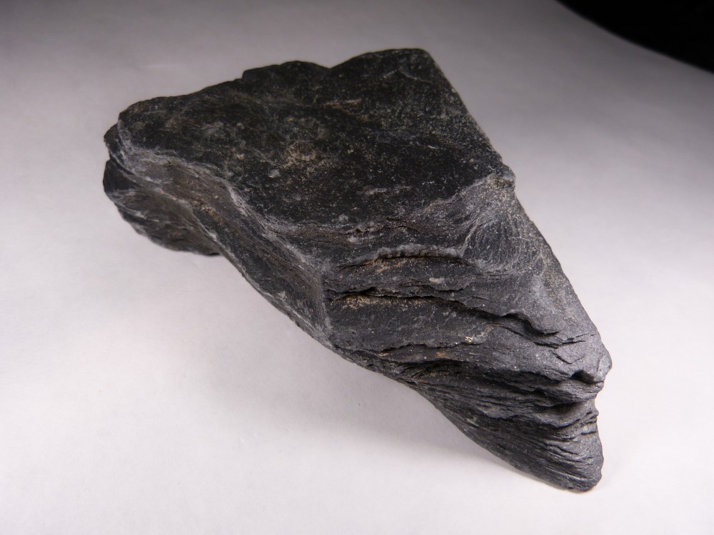 Schiste noir (1).JPG