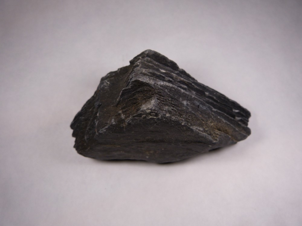 Schiste noir (2).JPG