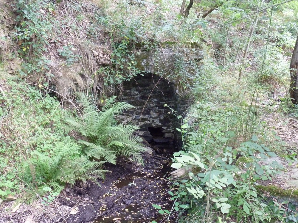 Felgerette 1. Lozère..JPG